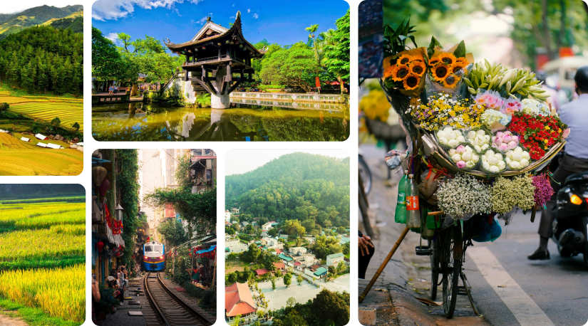 <span>Giới thiệu</span> về chúng tôi